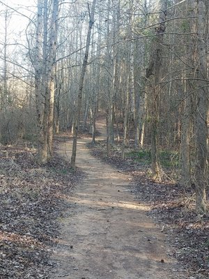 Postcard Cabins Asheboro, Outdoor Collection by Marriott Bonvoy by null