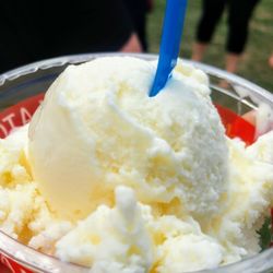 Crave Food And Music Festival