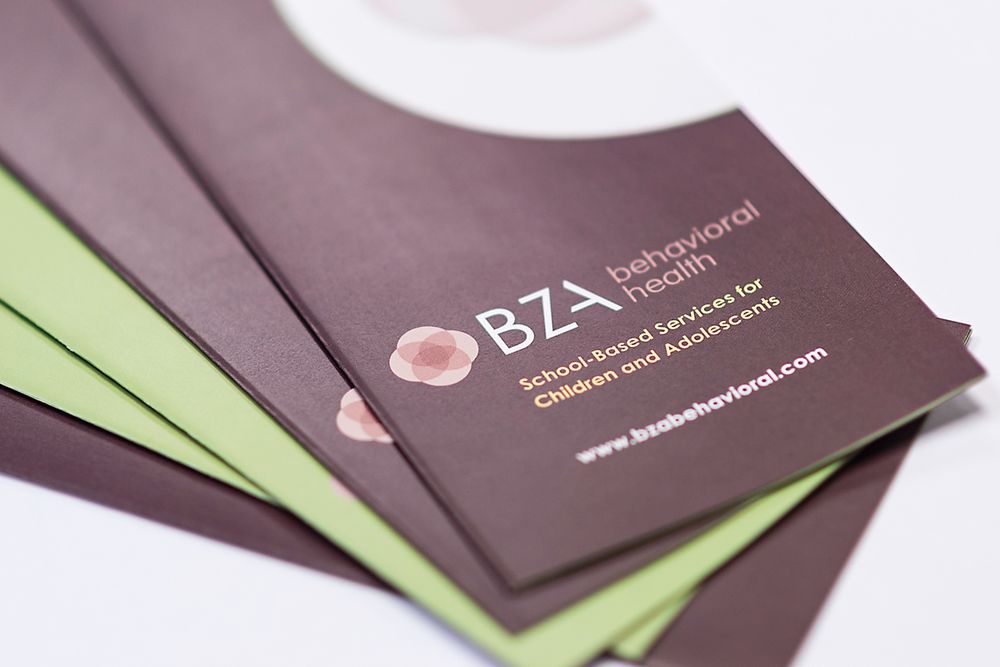 BZA Behavioral Health - child therapist in Lake In the Hills, IL