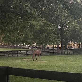 Kentucky Horse Park - Parks Near Me - Lexington, Kentucky Kentucky Horse Park - Parks Near Me - Lexington, Kentucky