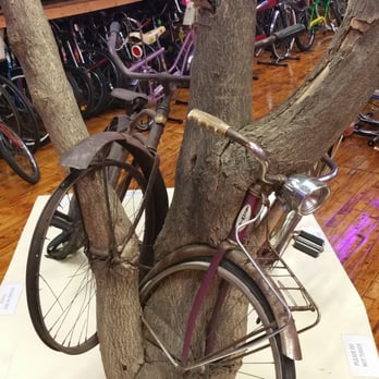Bicycle Heaven - Twisted nature...from Ohio, tree grew around 2 bikes - Museums Near Me - Pittsburgh, Pennsylvania
