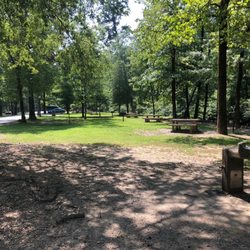Gulpha Gorge Campground - The sites early in the morning after several got left