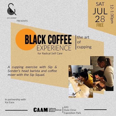 Sip & Sonder by null