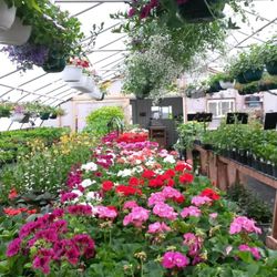 Barefoot Gardens