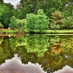 Wood Dale County Park - Beautiful reflections on early morning day
