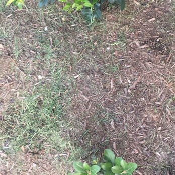 Liberty Lawn Care - Landscaping Near Me Liberty Lawn Care - Landscaping Near Me