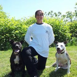 All In One Ent Dog Services - To love a dog is to know life!