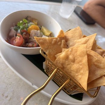 Tocaya Modern Mexican - Ceviche - Mexican Near Me - Santa Monica, California Tocaya Modern Mexican - Ceviche - Mexican Near Me - Santa Monica, California