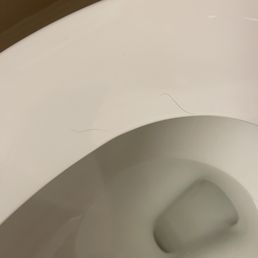Hair on toilet