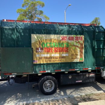 Octavio's Tree Service - Truck - Tree Services Near Me Octavio's Tree Service - Truck - Tree Services Near Me