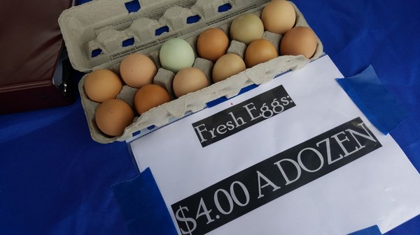 Pittsfield Township Farmers Market by null