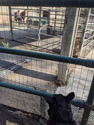 The Golden Gate Angling & Casting Club by null