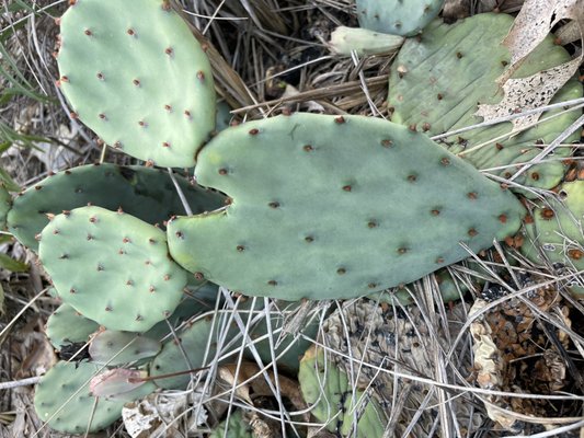 Indiana Dunes Visitor Center by null