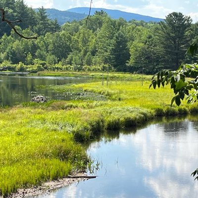 Inspire Cafe by null