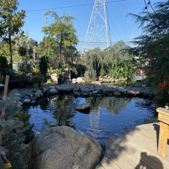 Glendora Gardens Nursery and Tree Farm - Nurseries & Gardening Near Me - Glendora, California