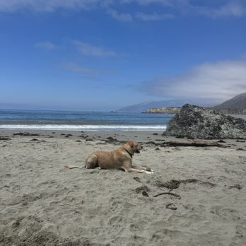 Sand Dollar Beach - Parks Near Me