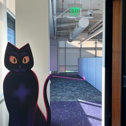 Office Cat