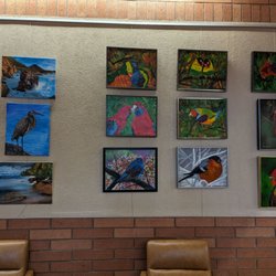 Via Linda Senior Center - Display of bird paintings