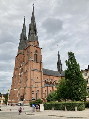 Uppsala Cathedral by null