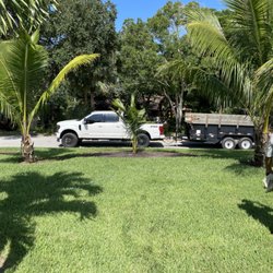 Treasure Coast Landscape Management - Coconut trees installed