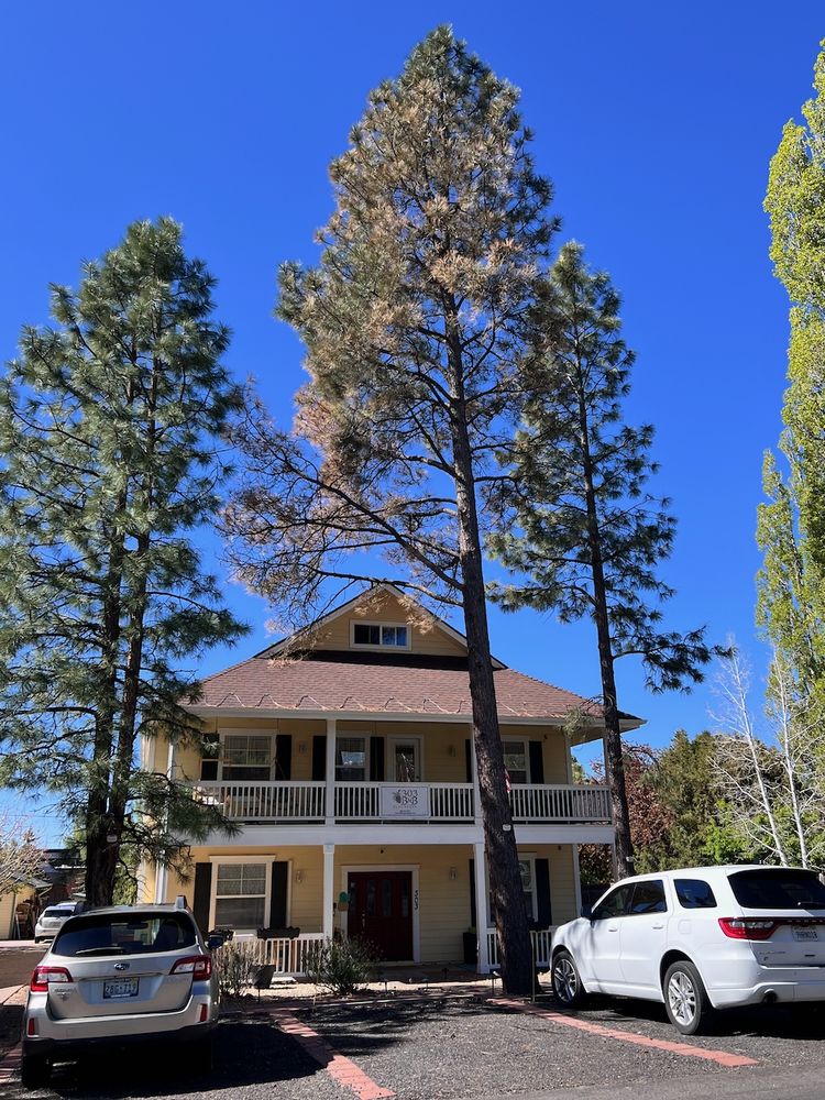 303 BnB Flagstaff