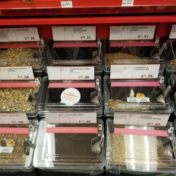 Bulk Barn - Grocery Near Me - Toronto, Ontario