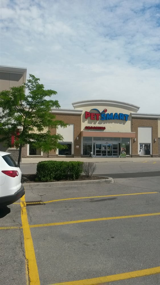 miniature pinscher doberman pinscher