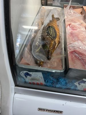 Jordan Market by null