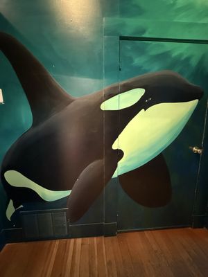 The Whale Museum by null