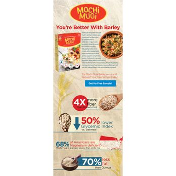 Green Tulip Design - Digital infographic design to explain the benefits of Mochi Mugi barley and entice the viewer to request a free sample. - Graphic Design Near Me Green Tulip Design - Digital infographic design to explain the benefits of Mochi Mugi barley and entice the viewer to request a free sample. - Graphic Design Near Me