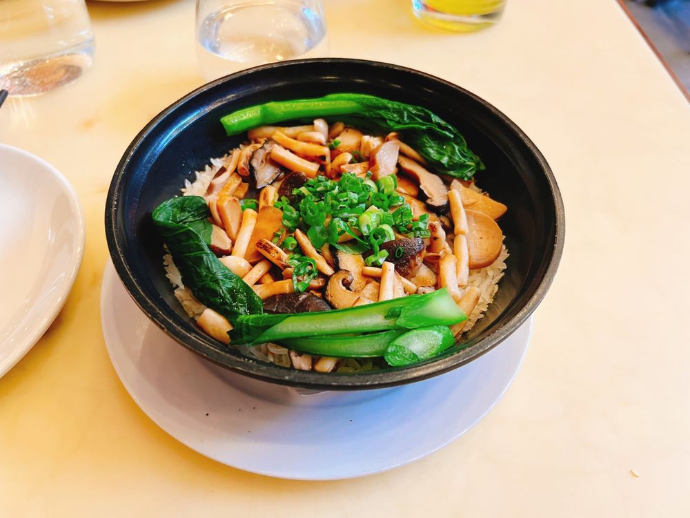 Restaurant Pinophyta