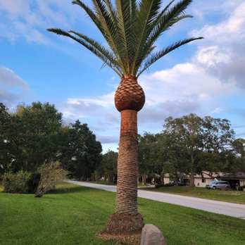 First Coast Choppers Tree Service - Tree Services Near Me First Coast Choppers Tree Service - Tree Services Near Me
