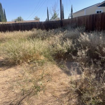 Los Tres Garibay - Before - Landscaping Near Me Los Tres Garibay - Before - Landscaping Near Me