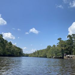 Edisto River Adventures