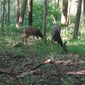 Harrods Creek Park - Hiking Near Me - Prospect, Kentucky