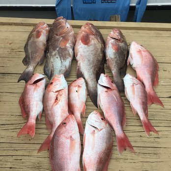 Hey Moe Fishing Charters - Boat Charters Near Me - Seminole, Florida Hey Moe Fishing Charters - Boat Charters Near Me - Seminole, Florida