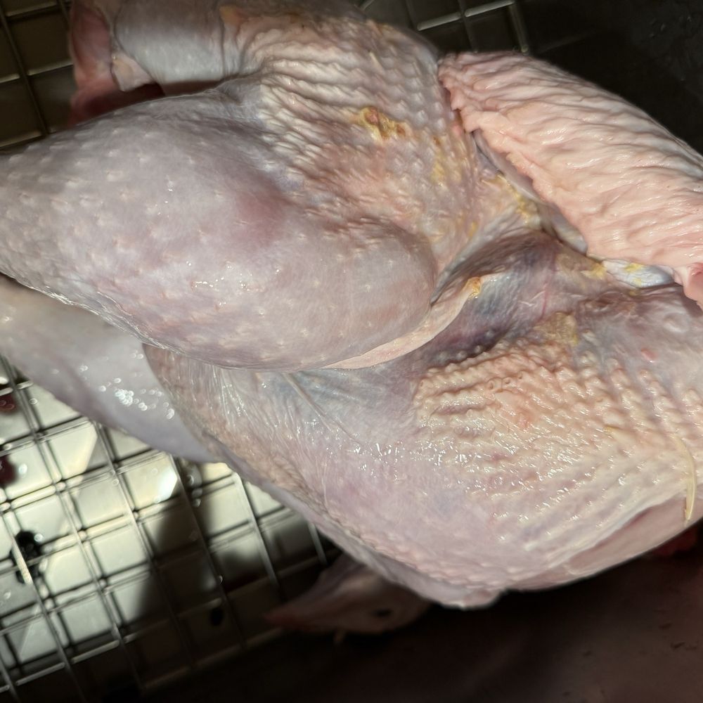 Western Live Poultry - Meat Shops Near Me - Chicago, Illinois Western Live Poultry - Meat Shops Near Me - Chicago, Illinois