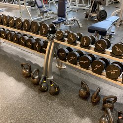Wilkes-Barre Family YMCA - Free weight variety