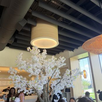 Fresso Coffee & Tea - Vibe - Coffee & Tea Near Me - Missouri City, Texas Fresso Coffee & Tea - Vibe - Coffee & Tea Near Me - Missouri City, Texas
