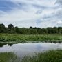 Photo of McClintic Wildlife Management