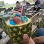 Kandy Ices
