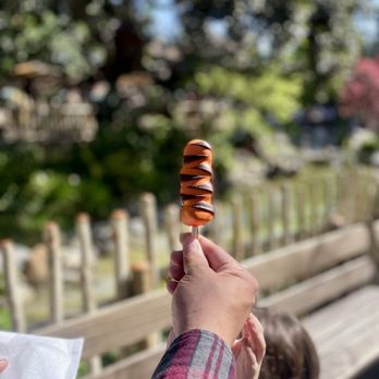 Pooh Corner - Tigger tail - Gift Shops Near Me - Anaheim, California Pooh Corner - Tigger tail - Gift Shops Near Me - Anaheim, California