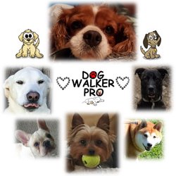 Dog Walker Pro