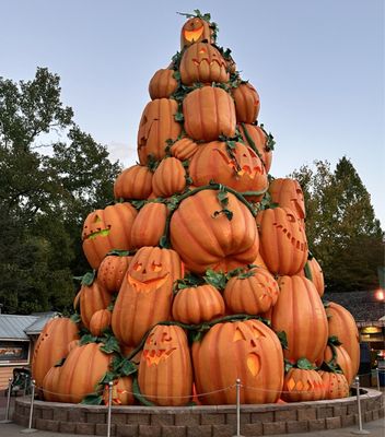 Dollywood's Splash Country by null