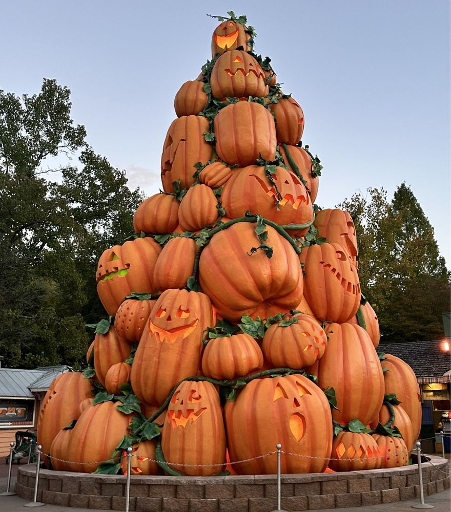 DOLLYWOOD Updated August 2025 164 Photos & 137 Reviews 2700