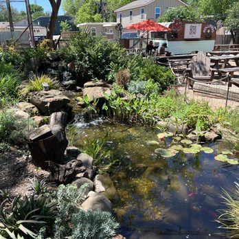 Cosmic - Koi pond - A pond with water lilies, aquatic plants, and rocks is featured in an outdoor area. Surrounding the pond are various plants and shrubs, with a small waterfall flowing into it. In the background, there are picnic tables, Adirondack chairs, and a food truck with a red umbrella, indicating a casual outdoor gathering space. - Coffee & Tea Near Me - Austin, Texas