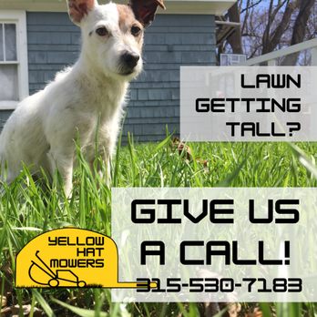Yellow Hat Mowers - Lawn getting tall? Give us a call! - Lawn Services Near Me Yellow Hat Mowers - Lawn getting tall? Give us a call! - Lawn Services Near Me