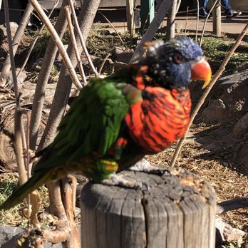 Denver Zoo - Zoos Near Me - Denver, Colorado Denver Zoo - Zoos Near Me - Denver, Colorado