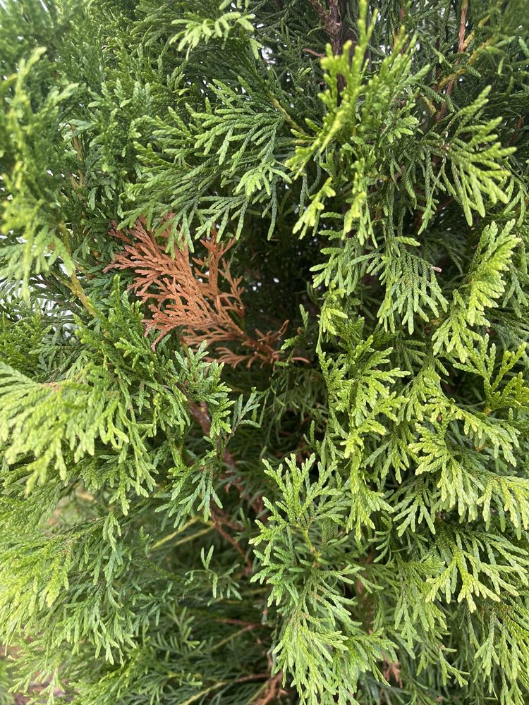 THE HOME DEPOT Updated October 2024 10 Photos & 48 Reviews 7200