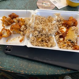 H5. Orange Chicken Special H5. Orange Chicken Special